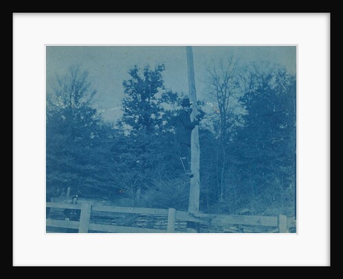 Man who climbed a tree or pole by Anonymous