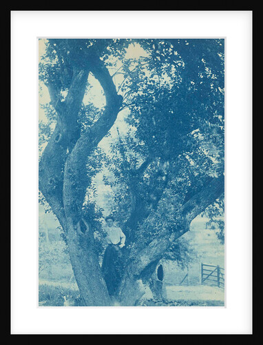 standing in an tree (willow) by Anonymous