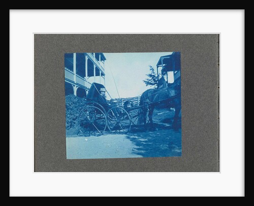 Man in a carriage with horse, USA by Anonymous