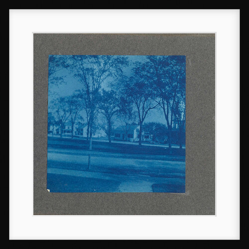 Wooden houses with trees, USA by Anonymous