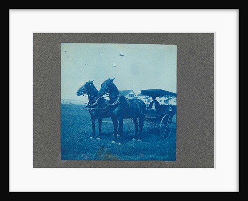 Man in a carriage with two horses, USA by Anonymous