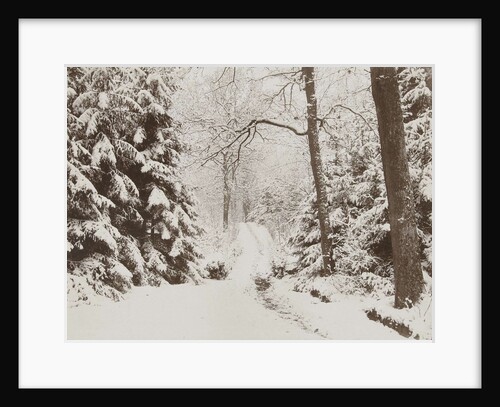 snowy forest by Henry Pauw van Wieldrecht