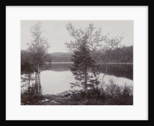 Trees Lakeside (Norway?) by Henry Pauw van Wieldrecht