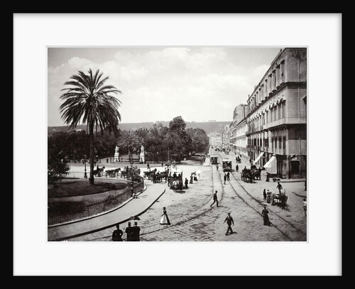 Napoli Riviera di Chiaia, Italy by Giorgio Sommer