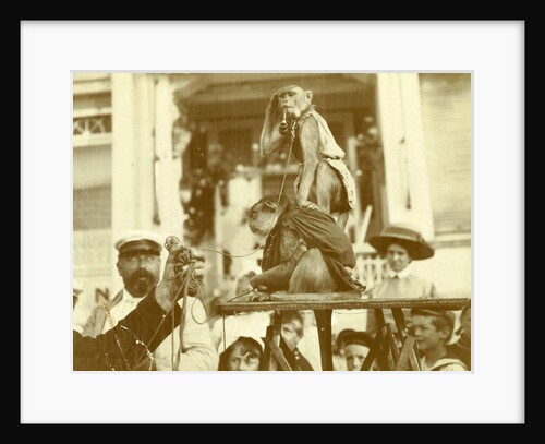 Two monkeys with spectators by Anonymous