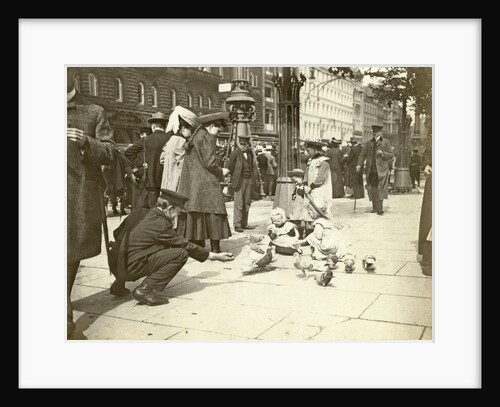Pigeons enter a town by Anonymous