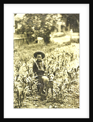 Child with dog standing in a field with crops by Anonymous