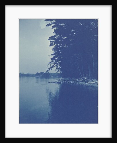 Sight over a lake by Anonymous