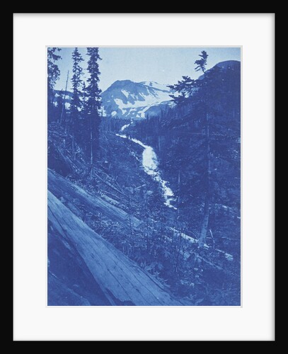 Christmas Greeting, view in Emogen ? Creek, Colorado, USA by Gillander