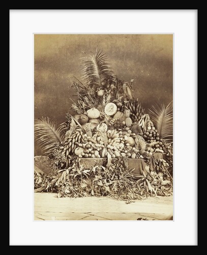 Still Life with exotic fruits by John Thomson