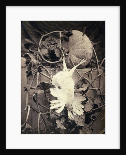 Medialab added this work to Course Experimental Photography by Eduard Isaac Asser