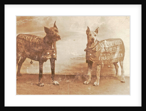 Portrait two dogs toymaker with advertising copy for perfumeries by Anonymous