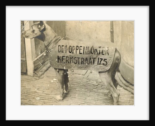 Portrait dog toymaker with advertising text by Anonymous