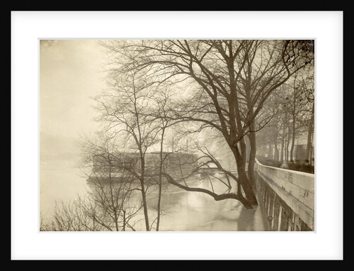Flooded Seine River with trees, boats and public during flooding of Paris, France by Anonymous