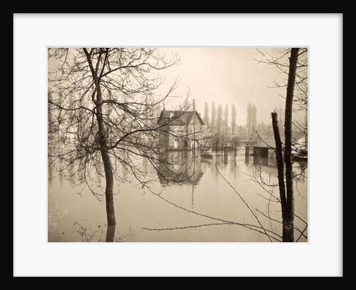 Houses in flooded suburb of Paris seen through bare trees, France by Anonymous