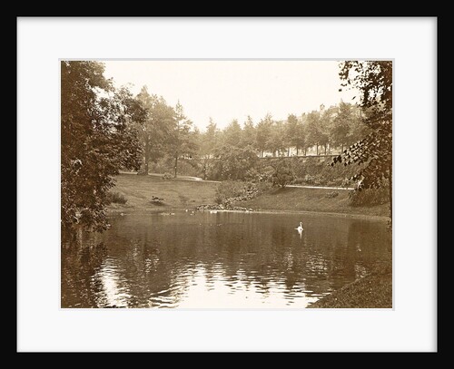 Pond in a park, presumably in Laeken by Anonymous