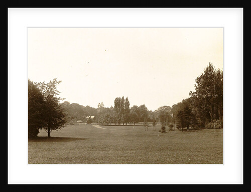 trees in a park, presumably in Laeken Brussel Belgium by Anonymous