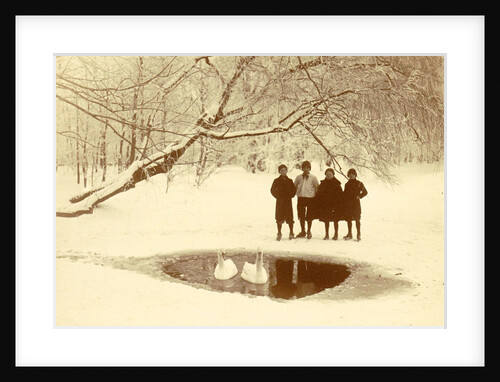 Children with swans in a hole by Anonymous
