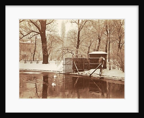 Swans in a pond in a snowy park by Anonymous