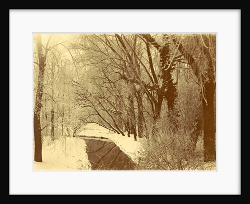 Snowy ditch in a park, possibly Amsterdam by Anonymous