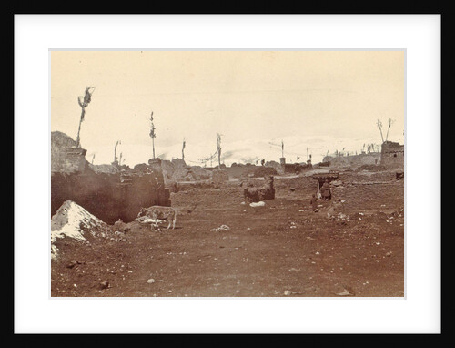 Street with houses in the town during the summer Pharijong, Tibet by D.T. Dalton