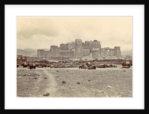 DT Dalton through Tibet by D.T. Dalton