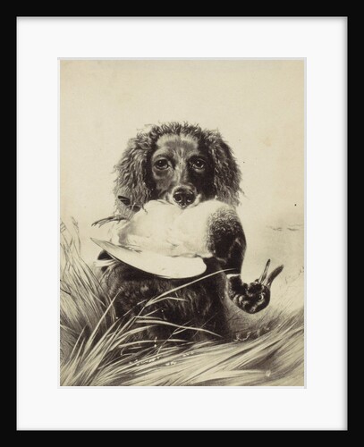 print of a painting by Richard Ansdell by Anonymous