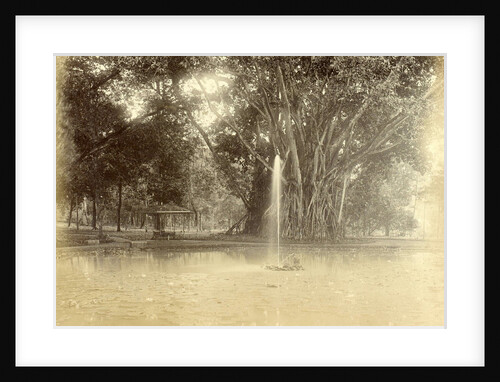 Park with a pond with a big tree in the Dutch East Indies by Anonymous