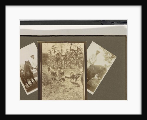 leper colony Dana Raja: people on horseback and harvest by Anonymous