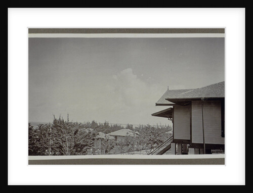 wooden house on stilts and the vegetation and buildings make by Anonymous