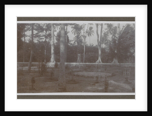 Trees and plants in a garden, probably belonging to a catering facility by Anonymous