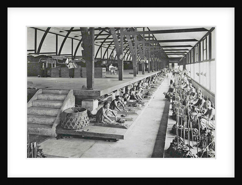 Sumatra indonesia, sorters into fermentable barn by Carl J. Kleingrothe