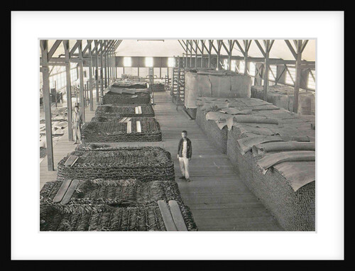 Sumatra indonesia tobacco stack in barn by Anonymous