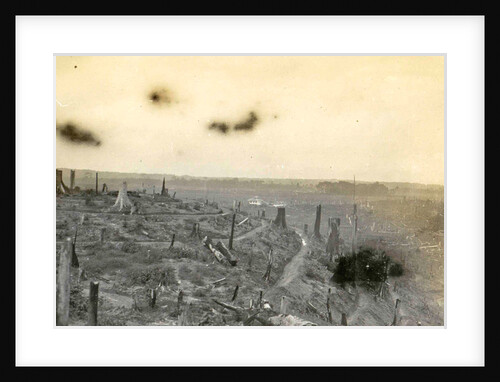 Sumatra, Soengai rasik, felling of rubber (Deli Mij) by Anonymous