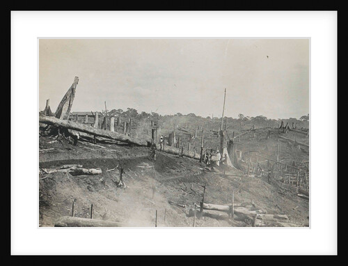Sumatra, logging of old-growth forest, Indonesia by Anonymous