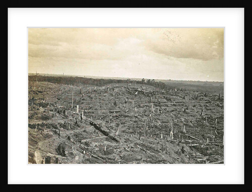 Sumatra indonesia, rubber kebon in construction (Soengai Tassik) by Anonymous