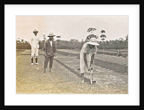 Sumatra indonesia, planting kibik (Soengai Tassik) by Anonymous