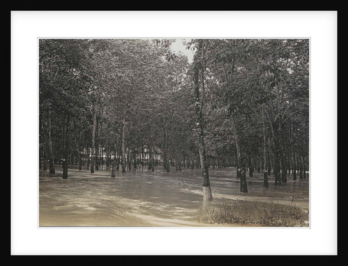 Sumatra indonesia, floods rubber Kibon Batang Sera Gang by Anonymous