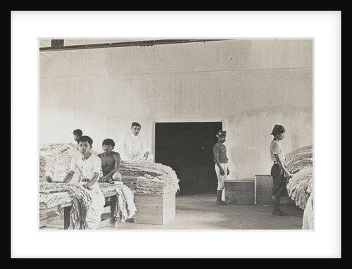 Sumatra indonesia natives sort the rubber in barn by Anonymous