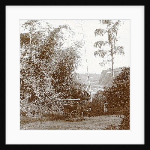 Sumatra indonesia cart with natives at Karbouwengat by Christiaan Benjamin Nieuwenhuis