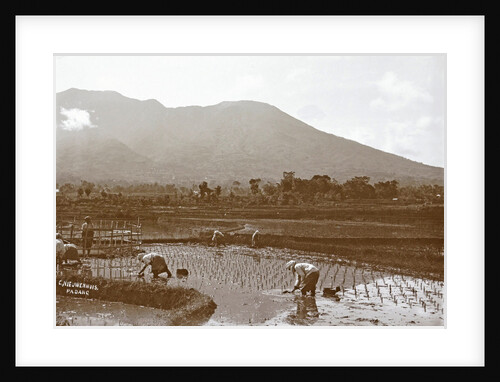 Sumatra, Merapi with natives on the field, Indonesia by Anonymous