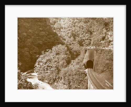 Sumatra indonesia railway in Anai Gorge by Christiaan Benjamin Nieuwenhuis