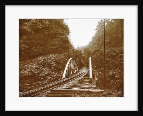 Sumatra indonesia railway in Anai Gorge by Christiaan Benjamin Nieuwenhuis