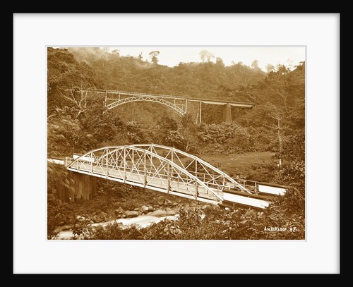 Anai Gorge, Indonesia by Christiaan Benjamin Nieuwenhuis