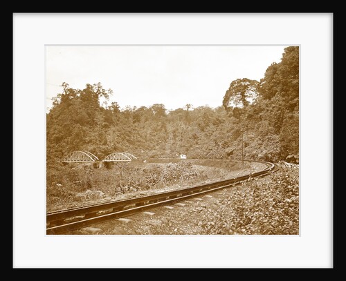 Sumatra indonesia, Anai Gorge with railway by Christiaan Benjamin Nieuwenhuis