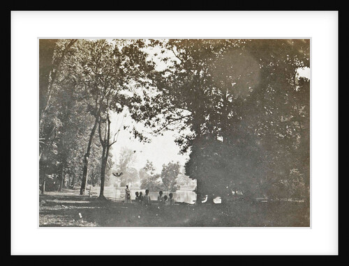 Buitenzorg, the botanical garden by Anonymous