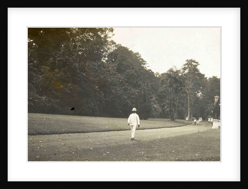 Buitenzorg, Indonesia, the botanical garden by Anonymous