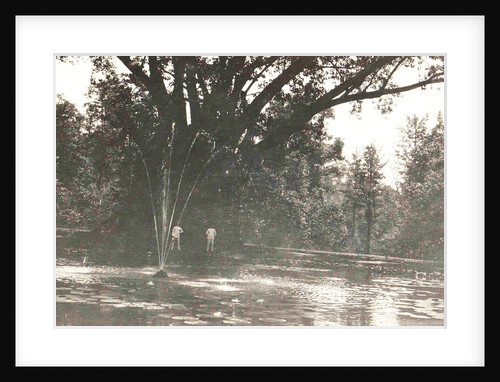 Buitenzorg, Indonesia, the botanical garden by Anonymous