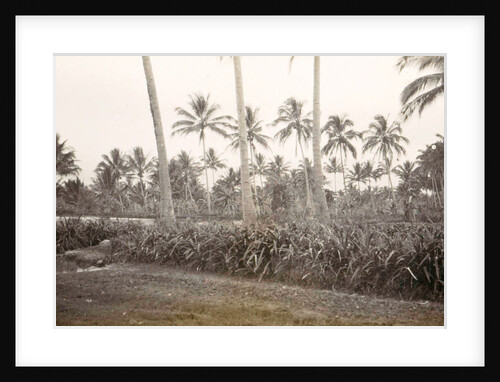 Java Tjipanas in Garut, Indonesia by Anonymous