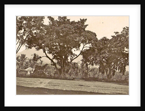 Java, Indonesia aloon-aloon the dessa Tjiseroepan by Anonymous